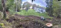 Chilel’s Brookline Tree Service
