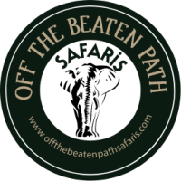 Off the Beaten Path Safaris: Crafting Extraordinary Wildlife Safaris