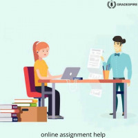 online assignment help