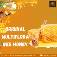 Original Multiflora Bee Honey