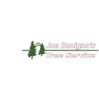Joe Benigno's Tree Service