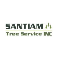 Santiam Tree Service