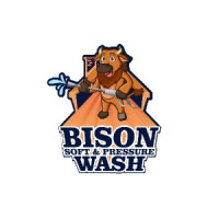 Bison Soft and Pressure Wash