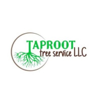 Taproot Tree Service
