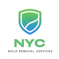 NYC Mold Removal Services
