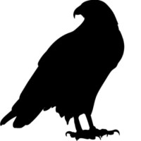 Denver SEO Raptor
