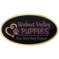 Walnut Valley Puppies