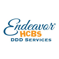 Endeavor DDD Services