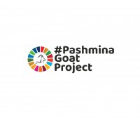 Pure Pashmina Shawls - Pashmina Goat Project