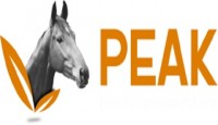 Peak Horse