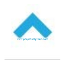 digital marketing agency in Riyadh, description