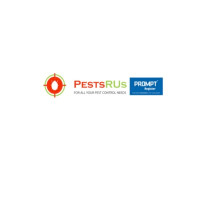 Protect Your Home With Affordable Pest Control Services London