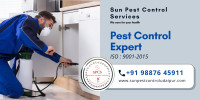 Best Pest Control in Udaipur