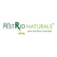 Pest Control Chennai | Best Termite & Pest Services - 100% Natural | Since 1992