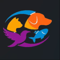 Protect and Track Your Pet With Official Online Registration