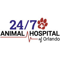 24/7 Animal Hospital of Orlando