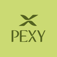 Pexy Studio – Holistic Reformer Pilates & Recovery-Based Fitness Studio in New Malden, London