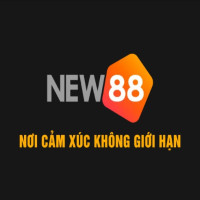 new8868_com