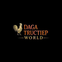 CEO Phan Đình Tứ - Đá gà trực tiếp world