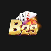 B29