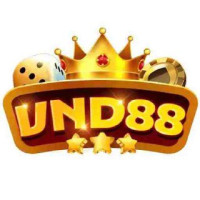 vnd88design