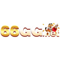 66gg