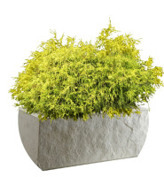 FRP Planters Manufacturers