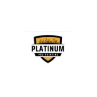 Platinum Pro Painting