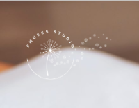 Pmu365 Studio LLC