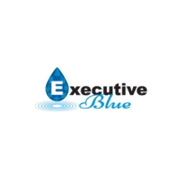 Executive Blue Pools