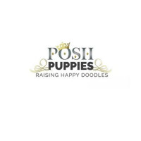 POSH PUPPIES