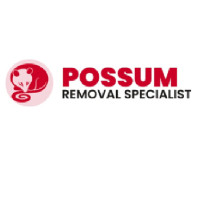 Possum Removal Brighton