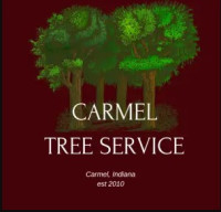 Carmel Tree Service