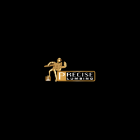 Precise Plumbing And Drain Services