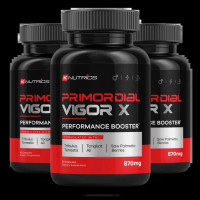 Primordial Vigor X