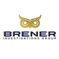 Private Investigators