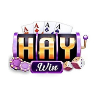 haywini com