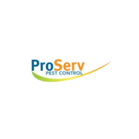 Pest Control Services in Singapore