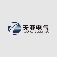 Electrical Transformer