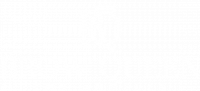 Brow Queen LA