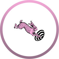 The Rabbit Hole