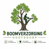 Boomverzorging Hoofddorp