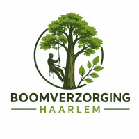 Boomverzorging Haarlem