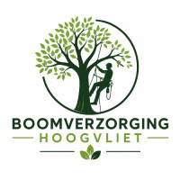 Boomverzorging Hoogvliet
