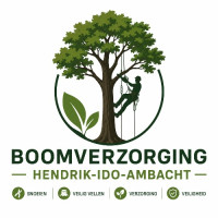 Boomverzorging Hendrik-Ido-Ambacht
