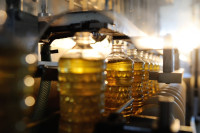 Refined Palm Oil Netherlands