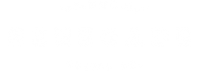 The Renegade Guitar Co