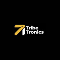 Best Digital Marketing Agency UAE | Tribe Tronics
