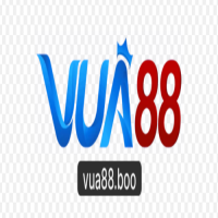 Nhà Cái VUA88