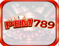pem789.it.com